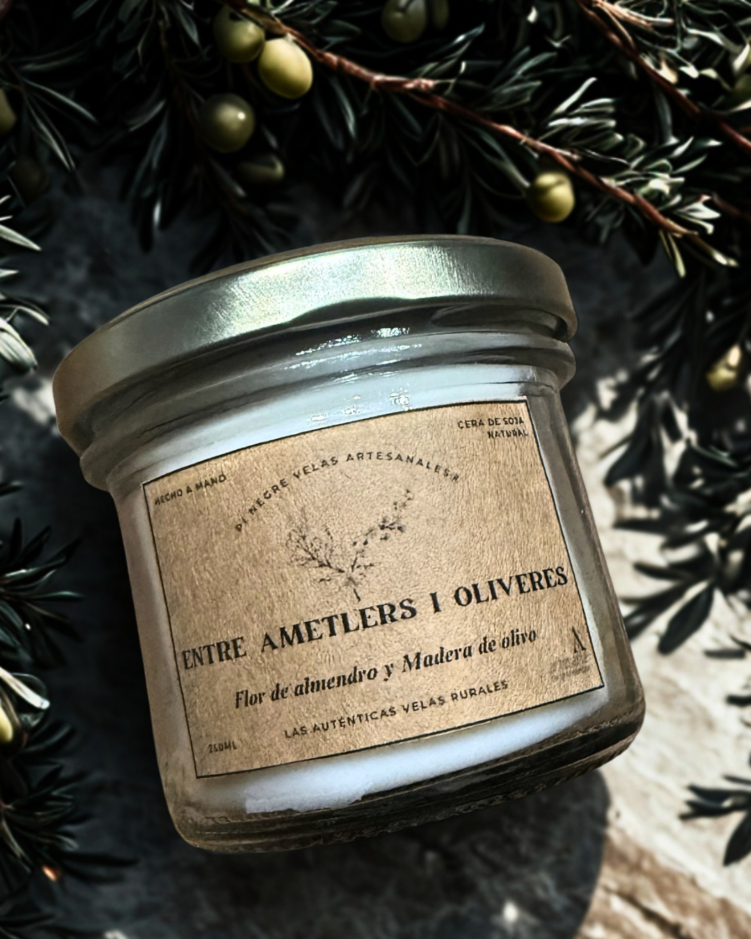 Vela ENTRE AMETLERS I OLIVERES